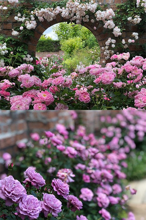 占い師はづき　まことのお気に入り写真2